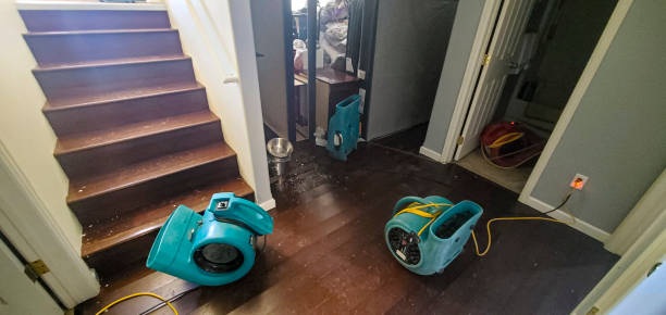 Best Fire Damage Restoration  in Oakdale, CA