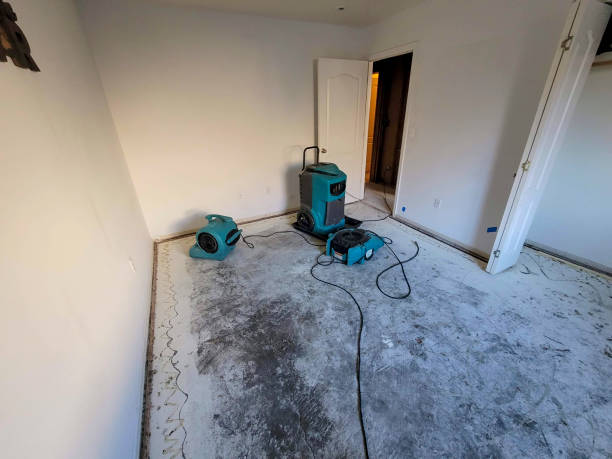 Best Ceiling water damage repair  in Oakdale, CA