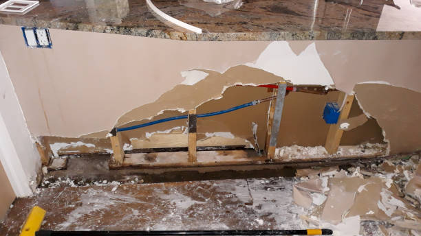 Best Professional water damage repair  in Oakdale, CA