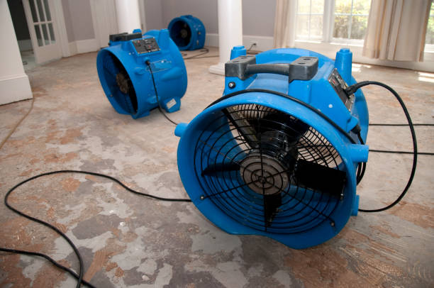Best Water damage mitigation services  in Oakdale, CA