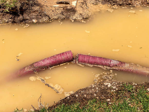 Best Flood damage cleanup  in Oakdale, CA
