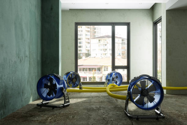Best Residential water damage restoration  in Oakdale, CA