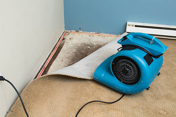 Best Commercial water damage restoration  in Oakdale, CA